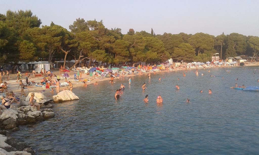 Apartments Davor Biograd Na Moru Dış mekan fotoğraf